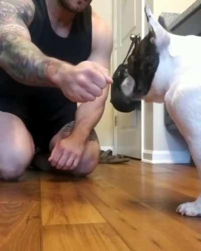 He just got bamboozled!