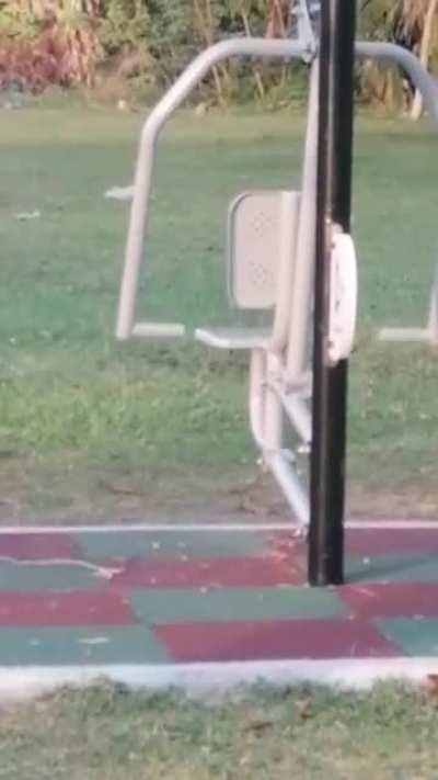 Invest in ghost working out