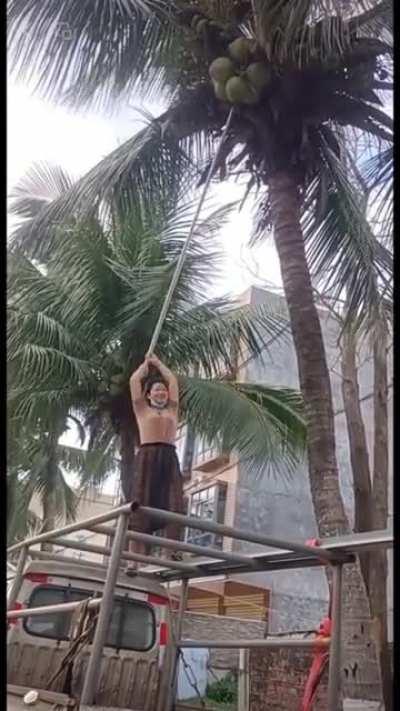 How to instantly crack coconuts open