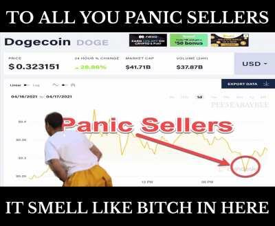 HODL ... Dogecoin to become the number 1 currency in the galaxy