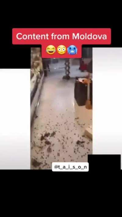 Primiâțî cu Plugaru? Uăi uăiiii...