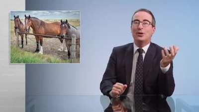 Didn't know John Oliver was a fan of vowosh!