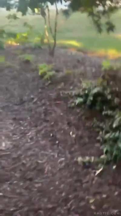 Lighting up a firecracker in your own car