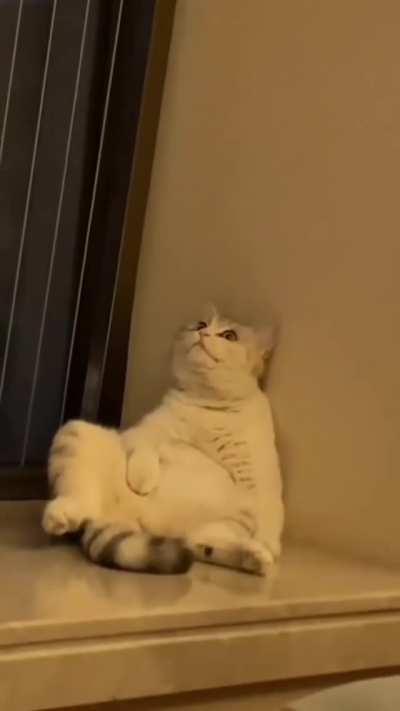 Thinking About Meaning Of Life