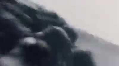 An eddit for you nerds (not the owner)