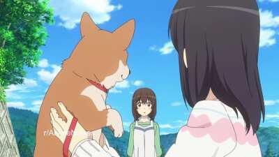 WashaWasha WashaWasha WashaWashaWasha