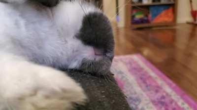 What is he dreaming about? 😅