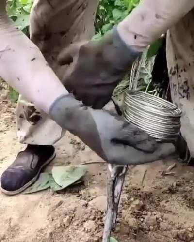 Work smart, not harder-