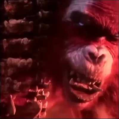 BeelcitosMemes - Video #6503