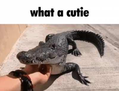 shitposting daily because I am incredibly bored (#454)