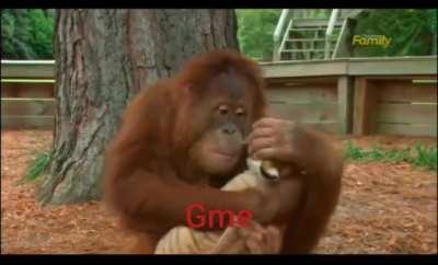 Me hodling my GME shares