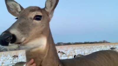 Duck hunting in North Dakota