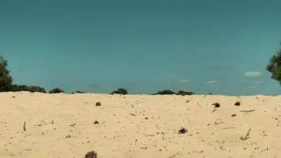 What if a filmmaker joins the army? A scene from a short film I made.