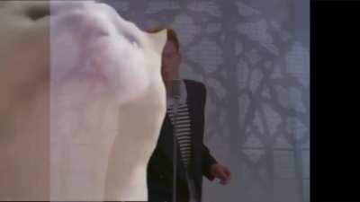 Vibing Cat Really Knows How To Vibe