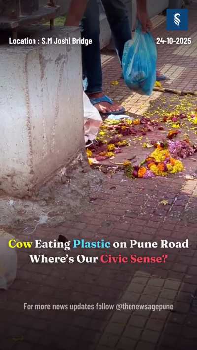 Where's Our Civic Sense?