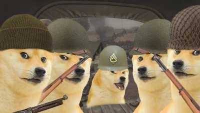 Le doge has arrived in WW2