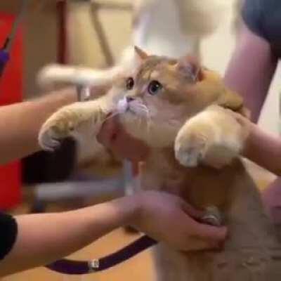 Oh lawd he getting a physical.