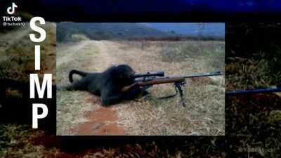 Sniper Monkey😑🐒🔫