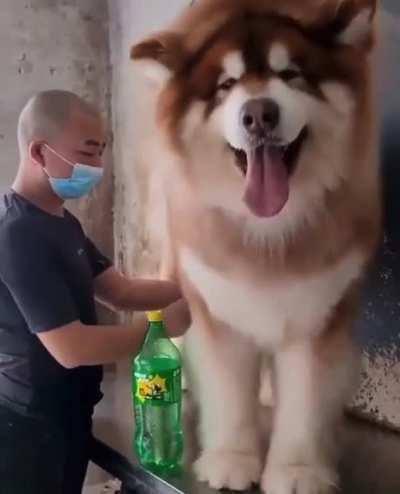 Biggg Floooof