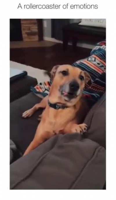 When it’s shark week…