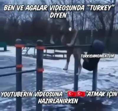 weakest wolf🐺 in turjkey