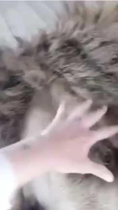 Not what I thought it was