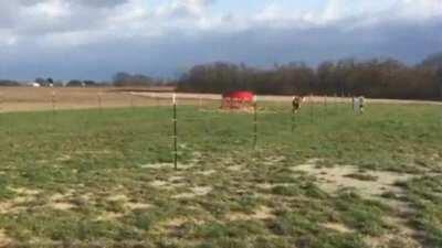 Two happy friends decide to have a race