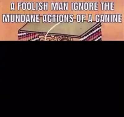 A foolish man ignore the mundane actions of a canine