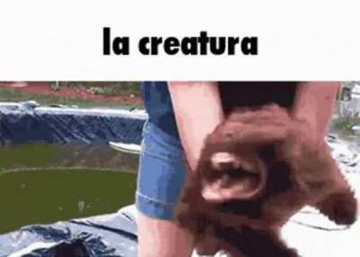 TW: tics and stimmies uwu