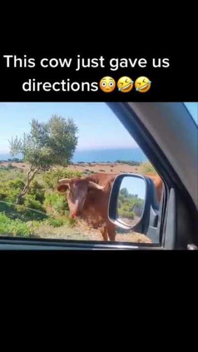 A nod in the right direction.