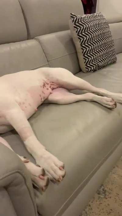 SHOULD I WORRY? 😟