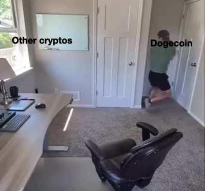 We believe in #doge 😂💙