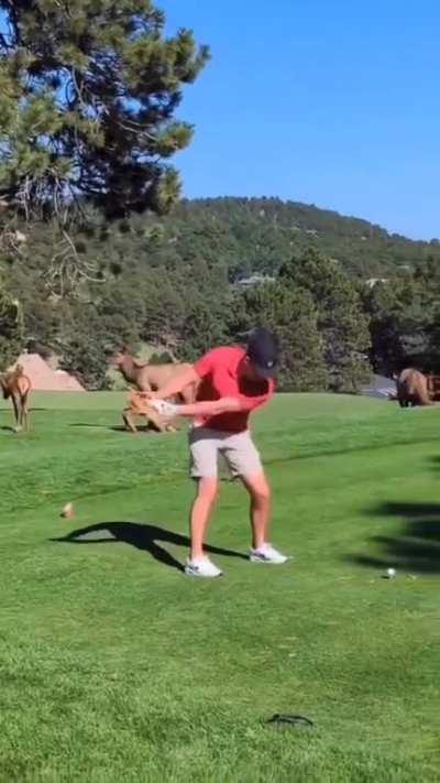 Maximum Focus Unlocked 