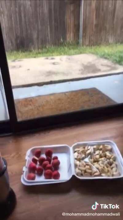 HUGE respect to Mohammad for starting a diet I’m proud of him