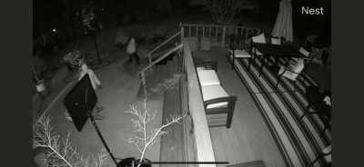 Burglar falls into pond.