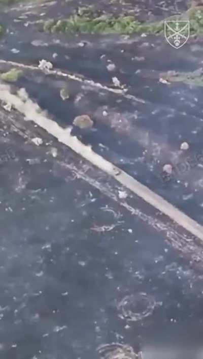 Looking for full footage - the Ukrainian Dnipro operational strategic group released this heavily edited footage and another edited clip (which they later removed) of Rubizh Brigade clearing Zolotyi Kolodiaz. Pokrovsk direction September 2025.