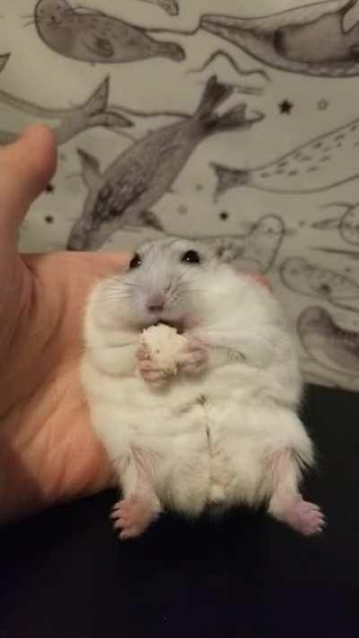 big baby little grabbies