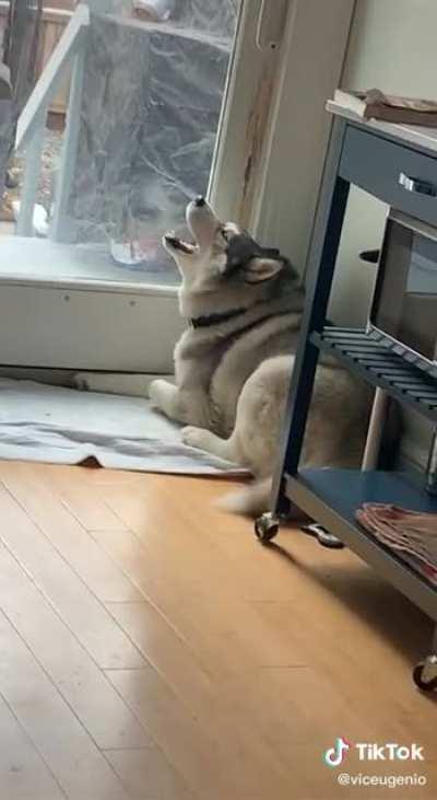 Heard Loud and Clear