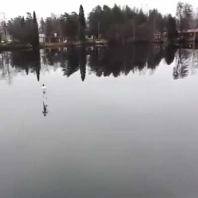 O que você achou que ia acontecer??