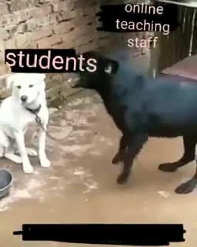 Daaaaaaannnnnnnnnnnk