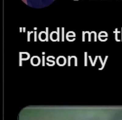 what the hell is life