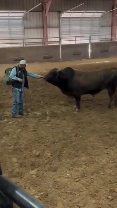 Smells good? Yes, smells good.