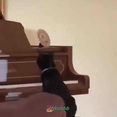 Pipupiru pu pi pi pi