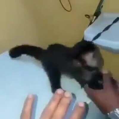 Que isso tico vai ficar travado aí mano 😟