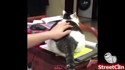 Oompa in animal form with his gigadumpy