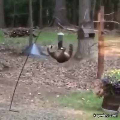 Mission Impossi... hol up