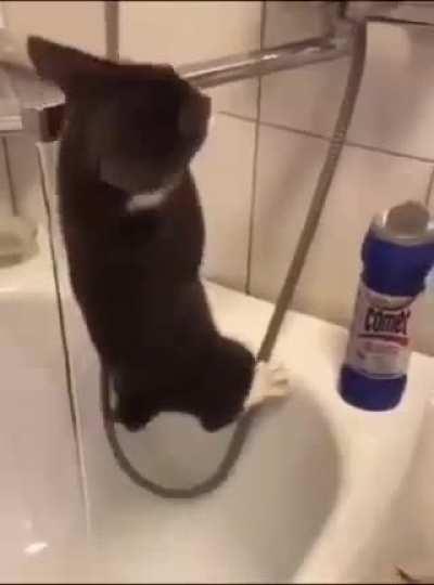 I see a goal, I go to it!