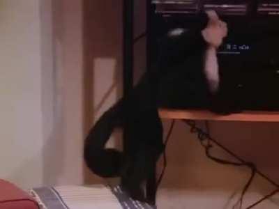 Really hope nobody's done this already, but I haven't seen it so far