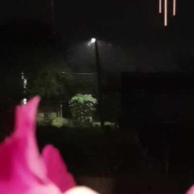 Moved the orchids away from the rain.