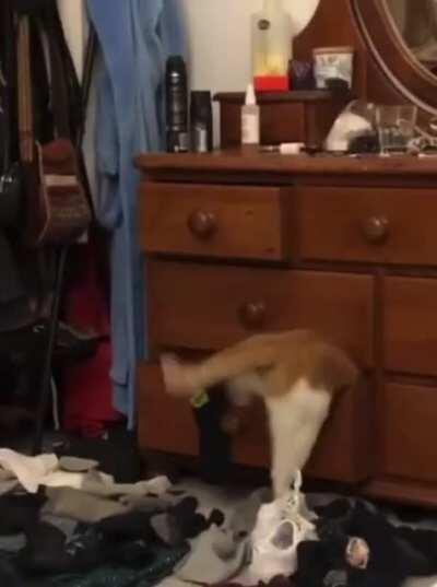 Let me in, you stupid hole!